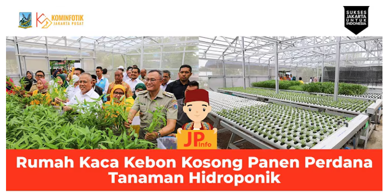Rumah Kaca Kebon Kosong Panen Perdana Tanaman Hidroponik