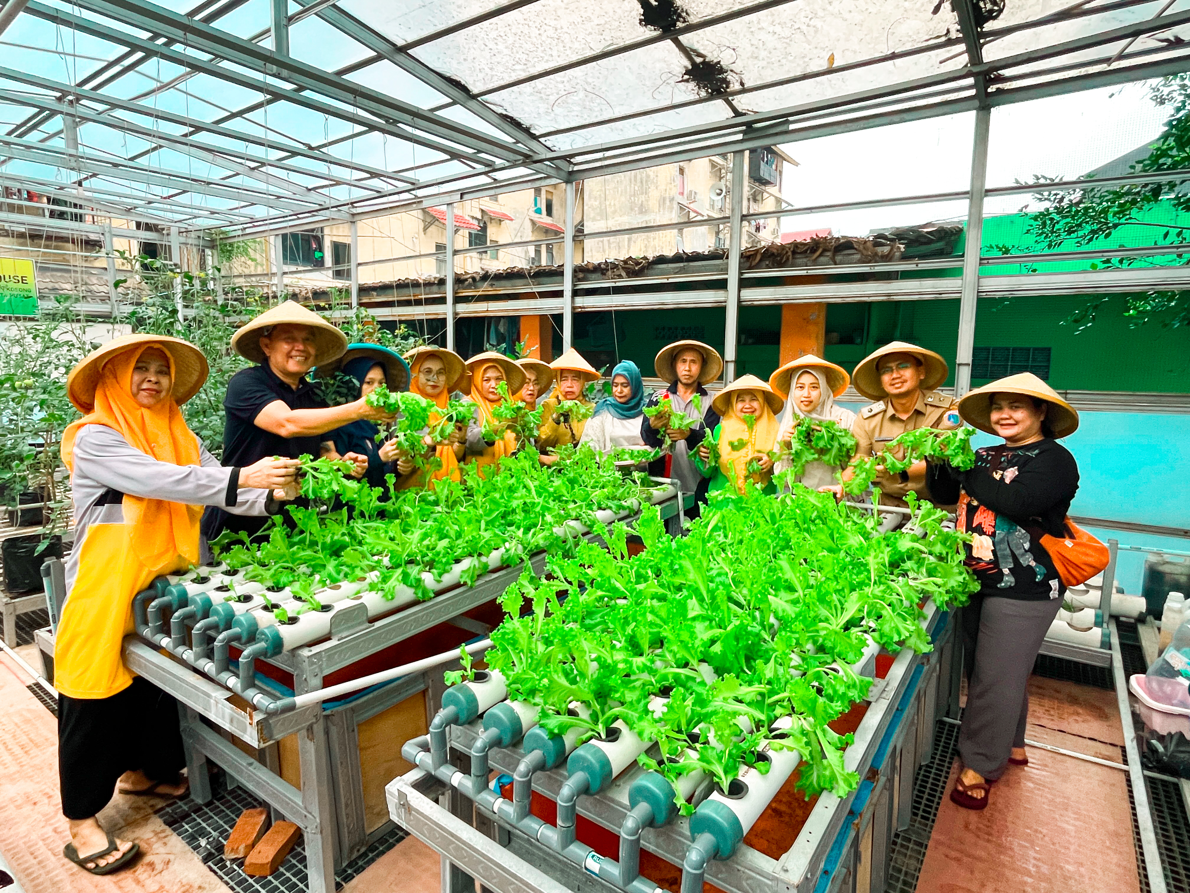 Kegiatan Panen di Green House RW.012