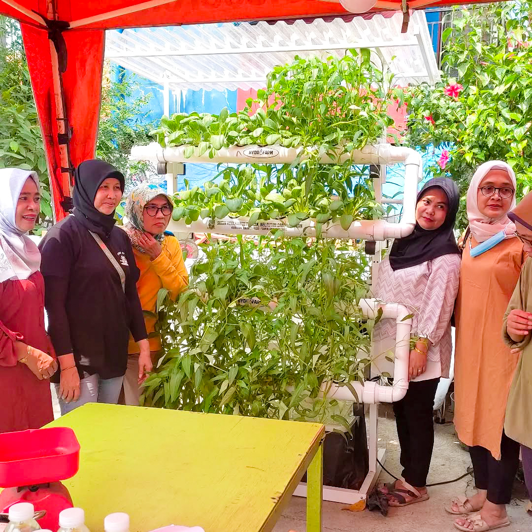 Panen Perdana Sayuran Hidroponik, Kangkung dan Pokcay di. RW.002 Kel. Kebon Kosong